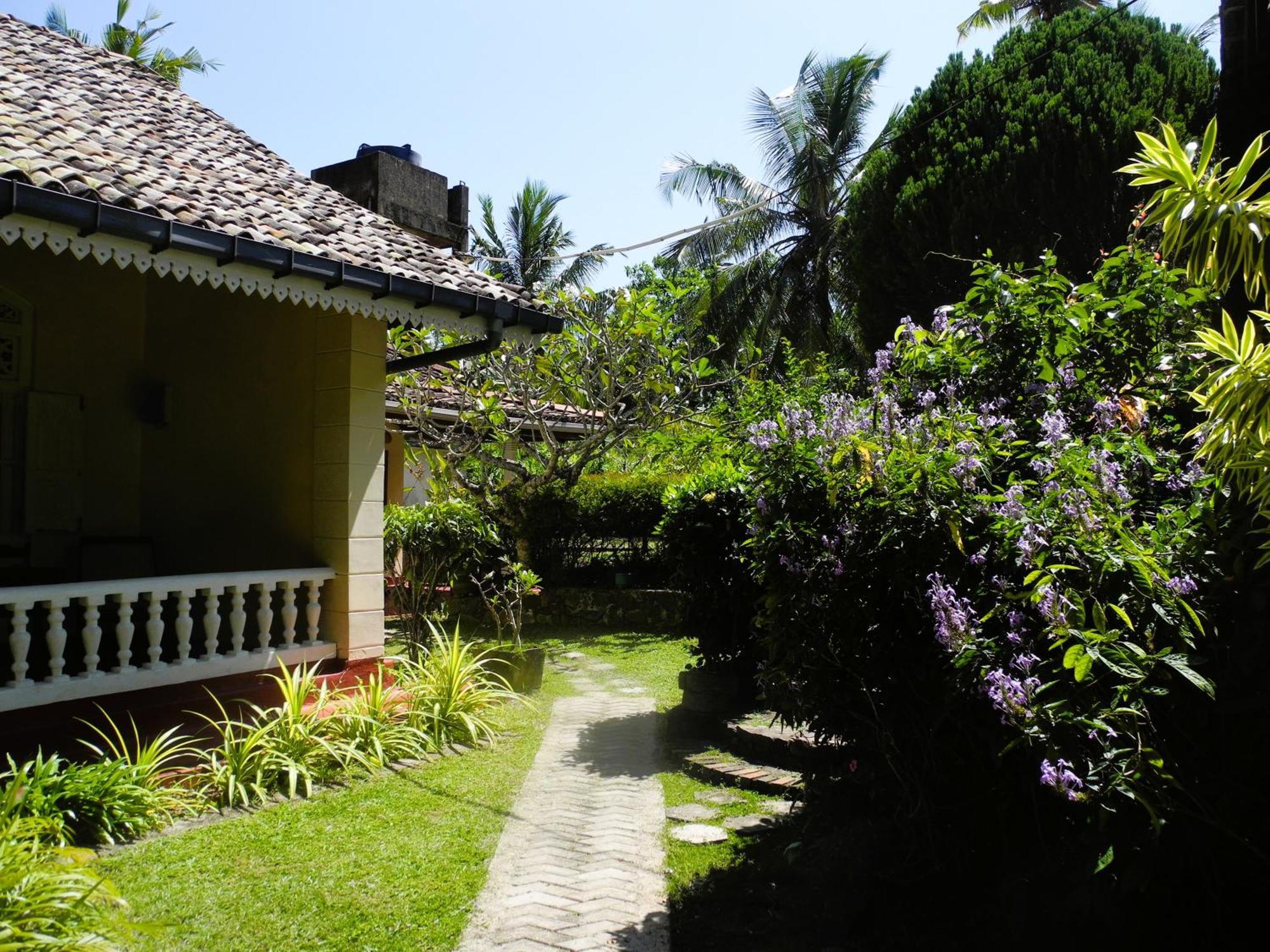 Top Of The Hill Guesthouse Weligama Luaran gambar
